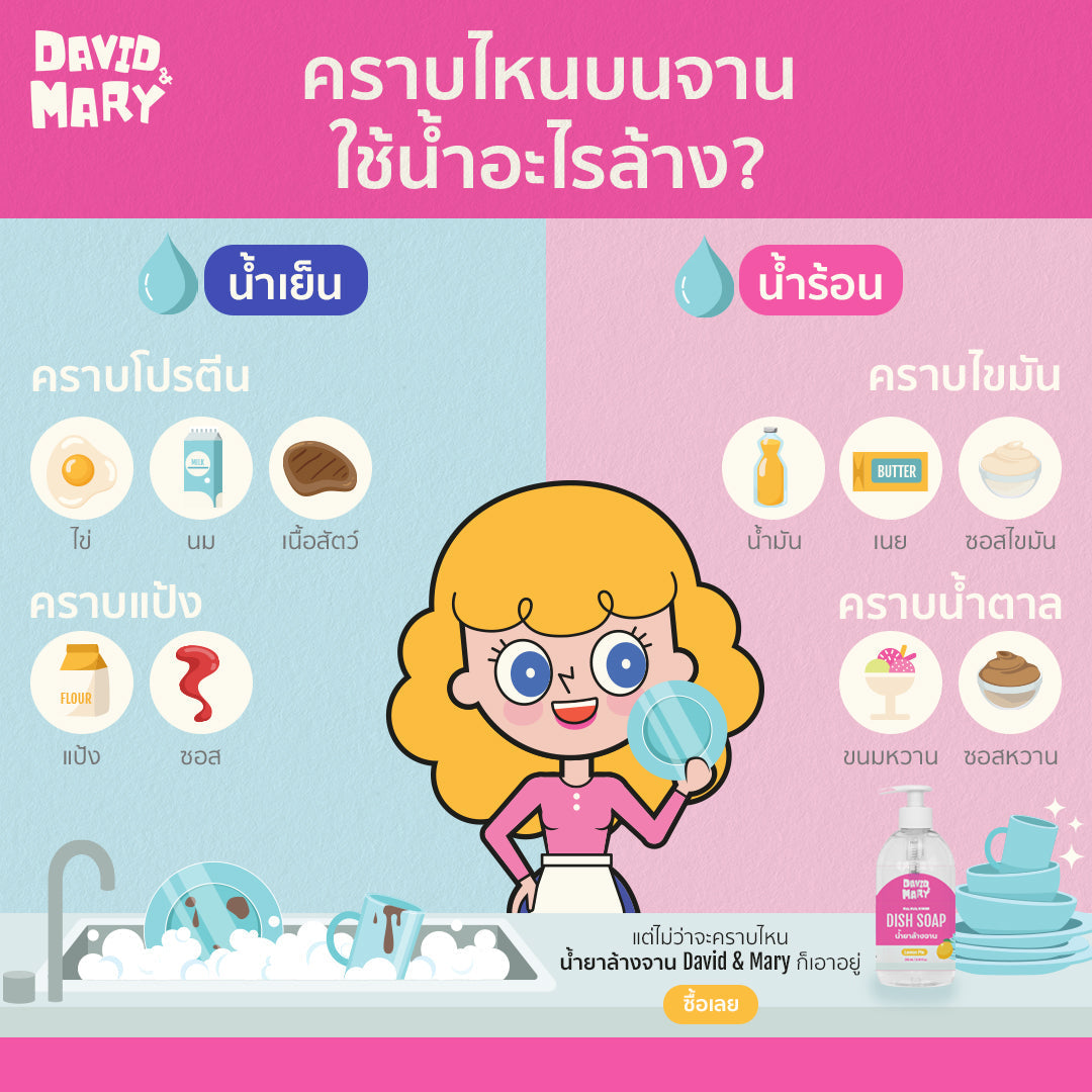 ล้าง คราบมันบนจาน คราบไขมัน คราบน้ำตาล - David & Mary - Dish Soap