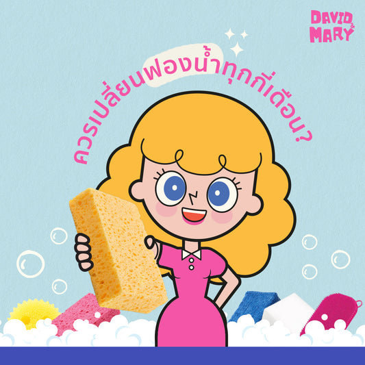ฟองน้ำล้างจานควรเปลี่ยนทุกกี่เดือน? ฟองน้ำล้างจานควรเปลี่ยนเมื่อไหร่? | david & mary