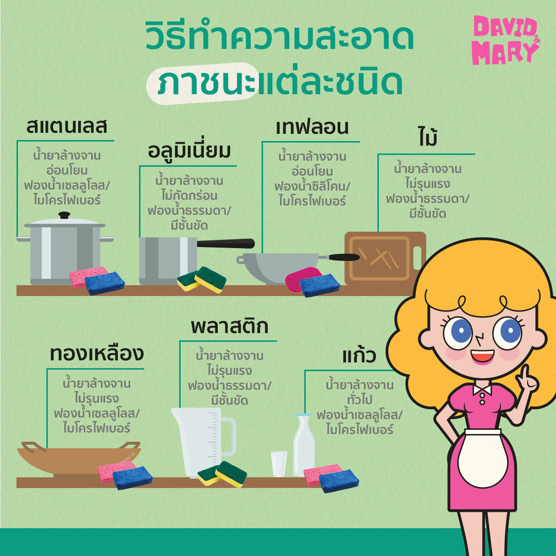 ล้างจาน ล้างภาชนะ ล้างสแตนเลส ล้างเขียงไม้ ล้างแก้ว - David & Mary