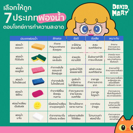 เลือกฟองน้ำยังไง ฟองน้ำล้างจานที่ดีที่สุด - David & Mary